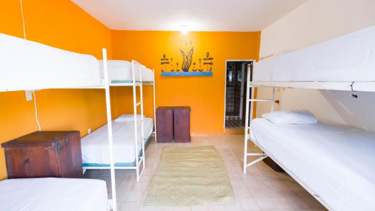 Weary Traveler Hostel Тулум Номер фото